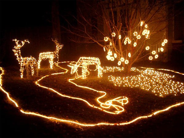 Deer and Lava Flow display