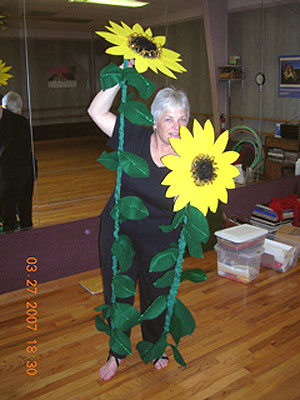 Carol Lee's sunflowers