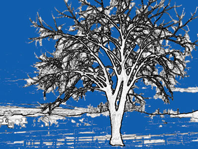 Dale's winter tree