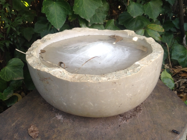 frozen limestone bowl